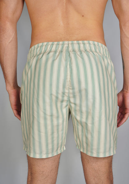 Sage Green Stripe Swim Shorts