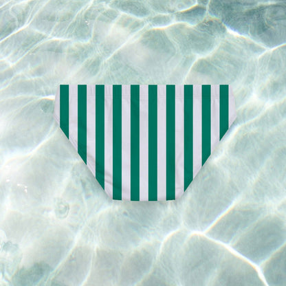 Green Stripe Swim Briefs - SANTE Swimwear